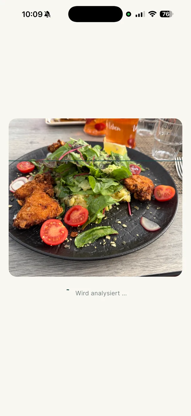 Glucido Analyseansicht